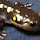 Salamanders of the Northeast