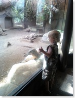 andrew zoo