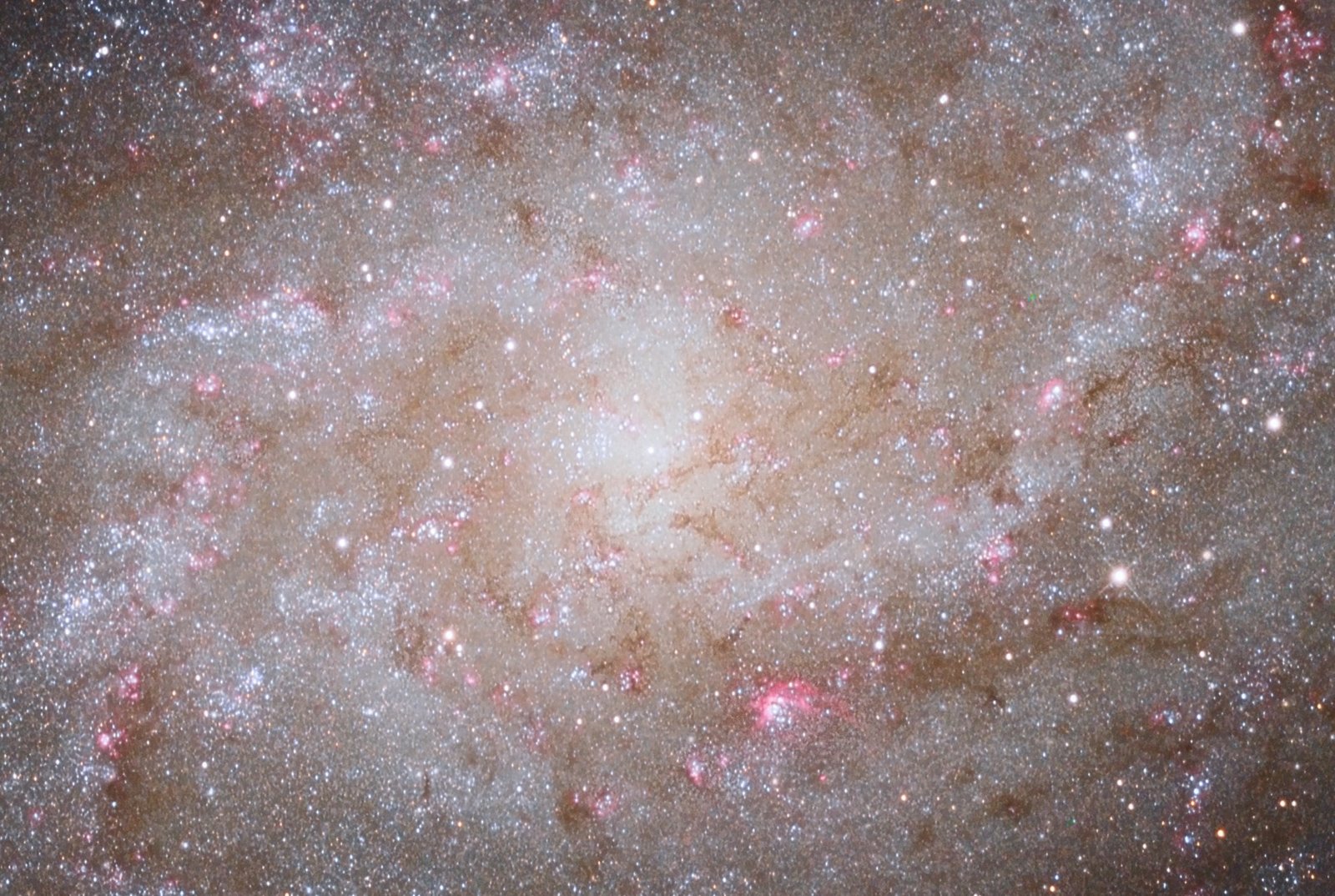 [M33_v3a_crop[3].jpg]