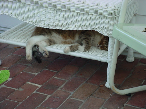 DSC03704.JPG