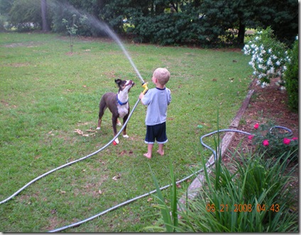 summer 2008 018