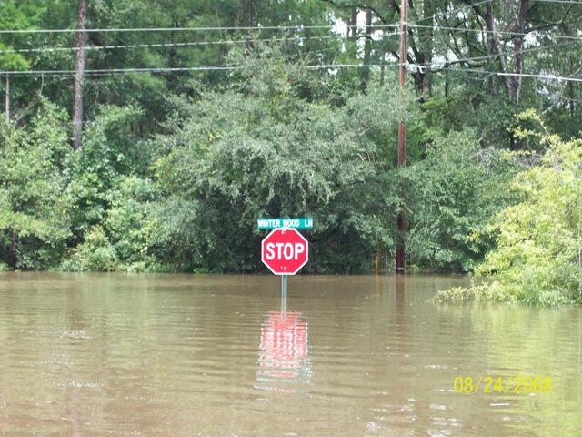 [storm20080678.jpg]