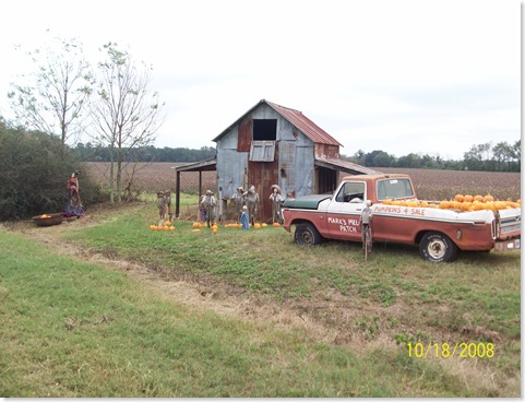 pumpkin patch 2008 040