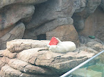 IMG_0326.JPG