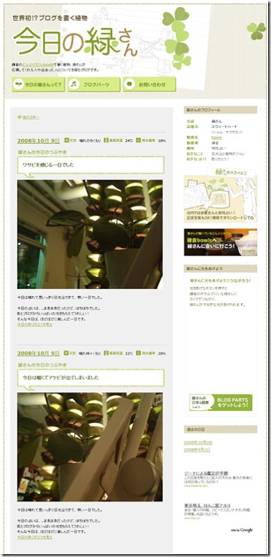 blogging_plant