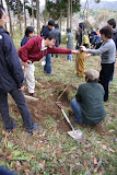 DSC04133.JPG