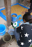 1反（３３０坪）で5キロの籾を育苗します。
今回は1.7キロの籾を発芽させ、9メートルの苗床を作り、
籾を均一にばら撒きます。
若干余った籾は鶏さんの餌になりました。