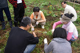 DSC04874.jpg