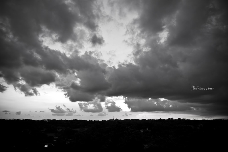 IMG_3883_GF