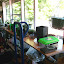 Cehualli's Indoor garden
