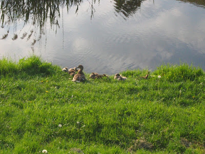 img_4641.jpg