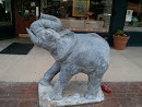 Modoc Elephant West