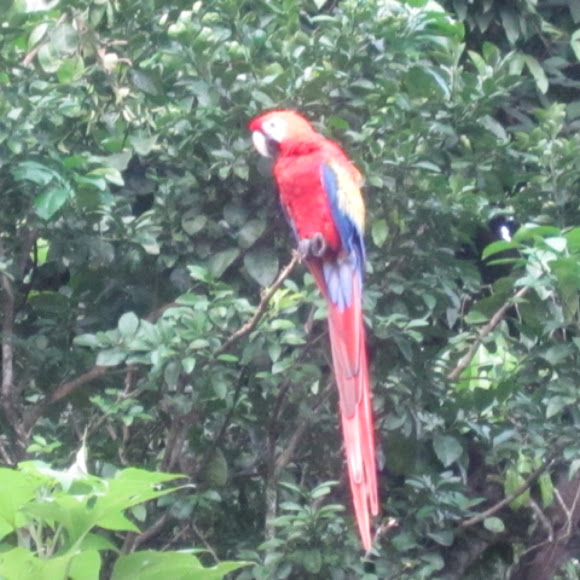 Spotting Image 1