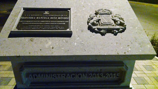 Homenaje Prof Manuela Ruiz