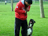 Adiestramiento Canino Motivacional