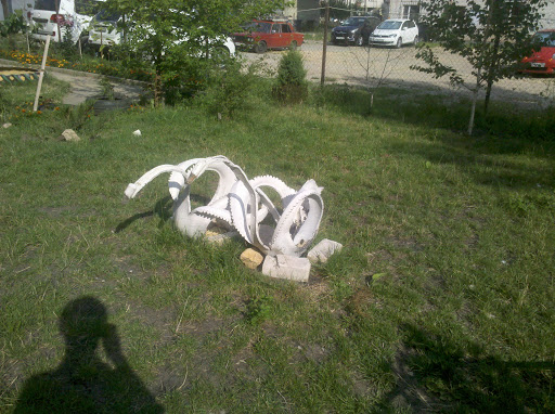 Rubber Swans