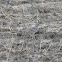 Stone Curlew