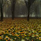 DSCF2662m.jpg