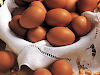 Venta De Huevos De Gallina Al Mayor