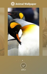 How to get AnimalWallpaper 1.2.0 apk for laptop