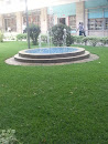 Fountain in Garden.