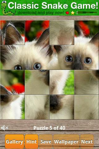 【免費解謎App】Cats Puzzle-APP點子