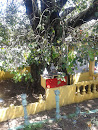 Buddha Statue under Bo Tree