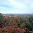 Binghamton New York Area Diversity