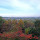 Binghamton New York Area Diversity