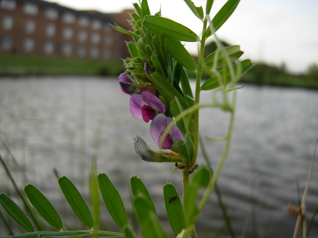 [Campus_Summer 028[2].jpg]