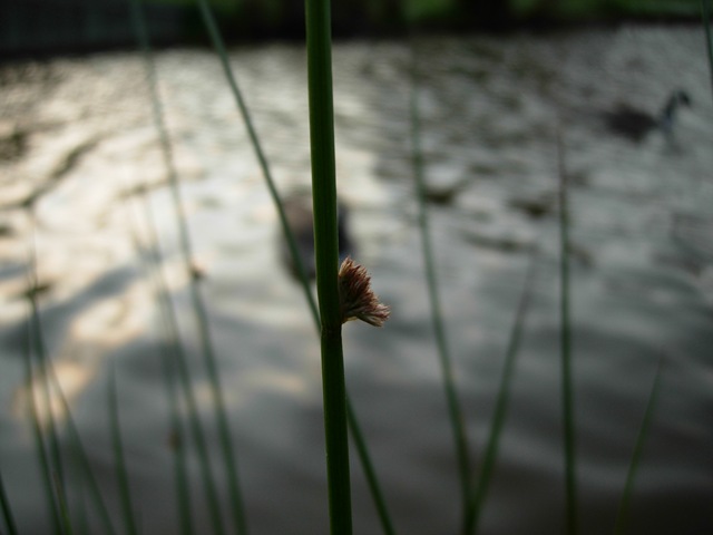 [Campus_Summer 030[2].jpg]