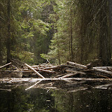 Vaikkojoki