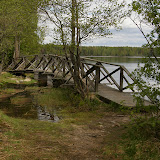 Liesjärvi