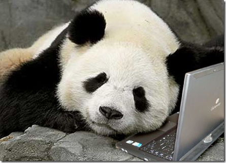 Panda - Internet is Slow
