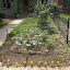 Frontyard