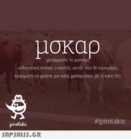 -μετάφραση: το μοσχάρι αλληγορική έννοια ο κουτός, αυτός που δε στροφάρει εφαρμογή σε φράση: μα καλά, μοκάρ είσαι ρε. τι κάνς έες #ipirotakis pirstakis
