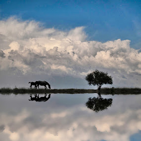One very ordinary day by Boricic Goran - Landscapes Weather