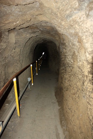 [IMG_2395esmall2.jpg]