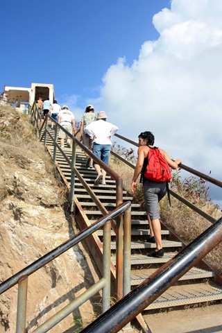 [IMG_2384esmall2.jpg]
