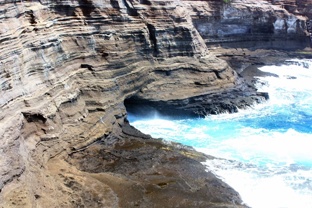[IMG_2520esmall2.jpg]