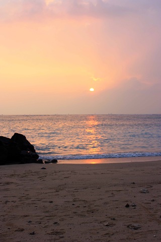 [IMG_2545esmall2.jpg]
