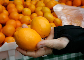 Meyer Lemon