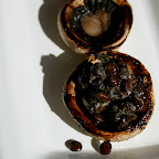 Champignon farci au caviar de lentilles beluga au nori