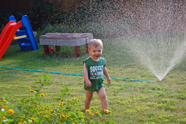 [luke sprinkler[5].jpg]