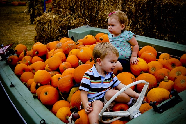 [20081013-DSC_0269[13].jpg]