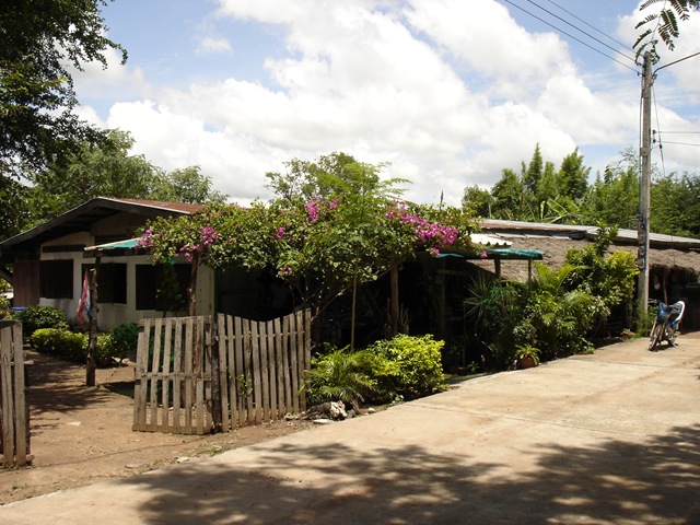 [DSC001309.jpg]