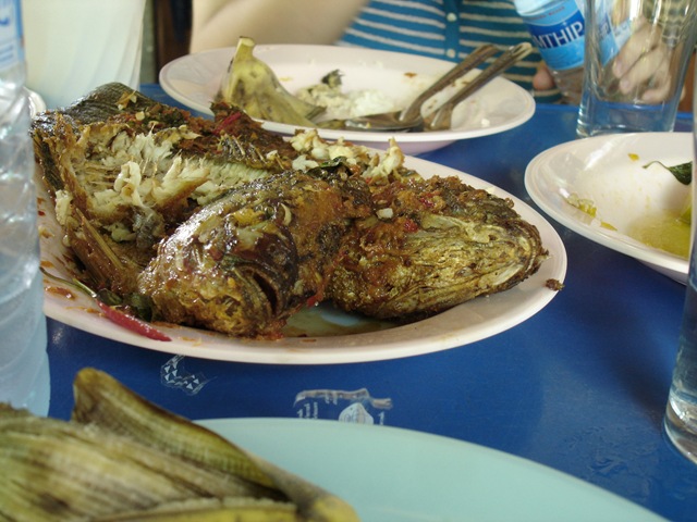 [DSC001361.jpg]