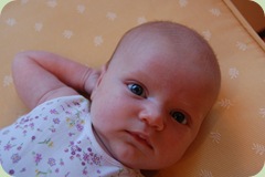 new camera_2961
