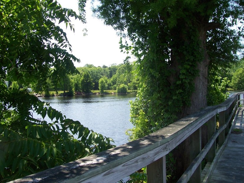 [100_1173m2.jpg]