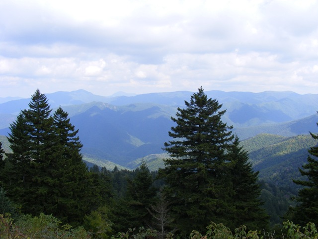 [DSCF0780[2].jpg]